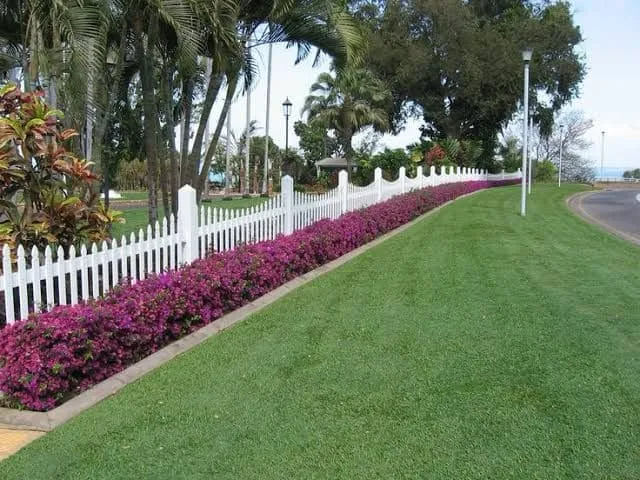 Grass Carpets (Lawns)