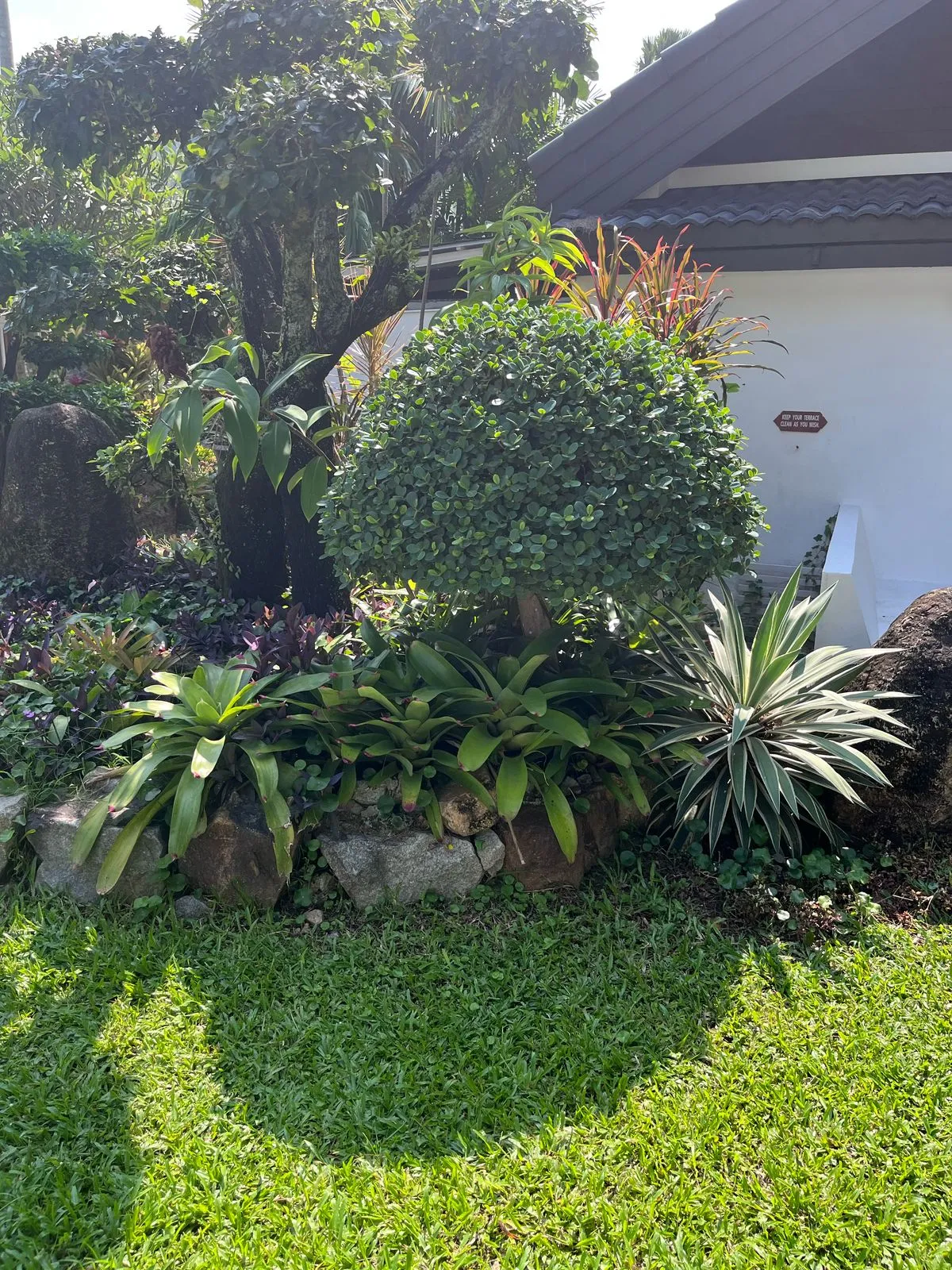 Exclusive Landscape Creation | Green Valley Plants