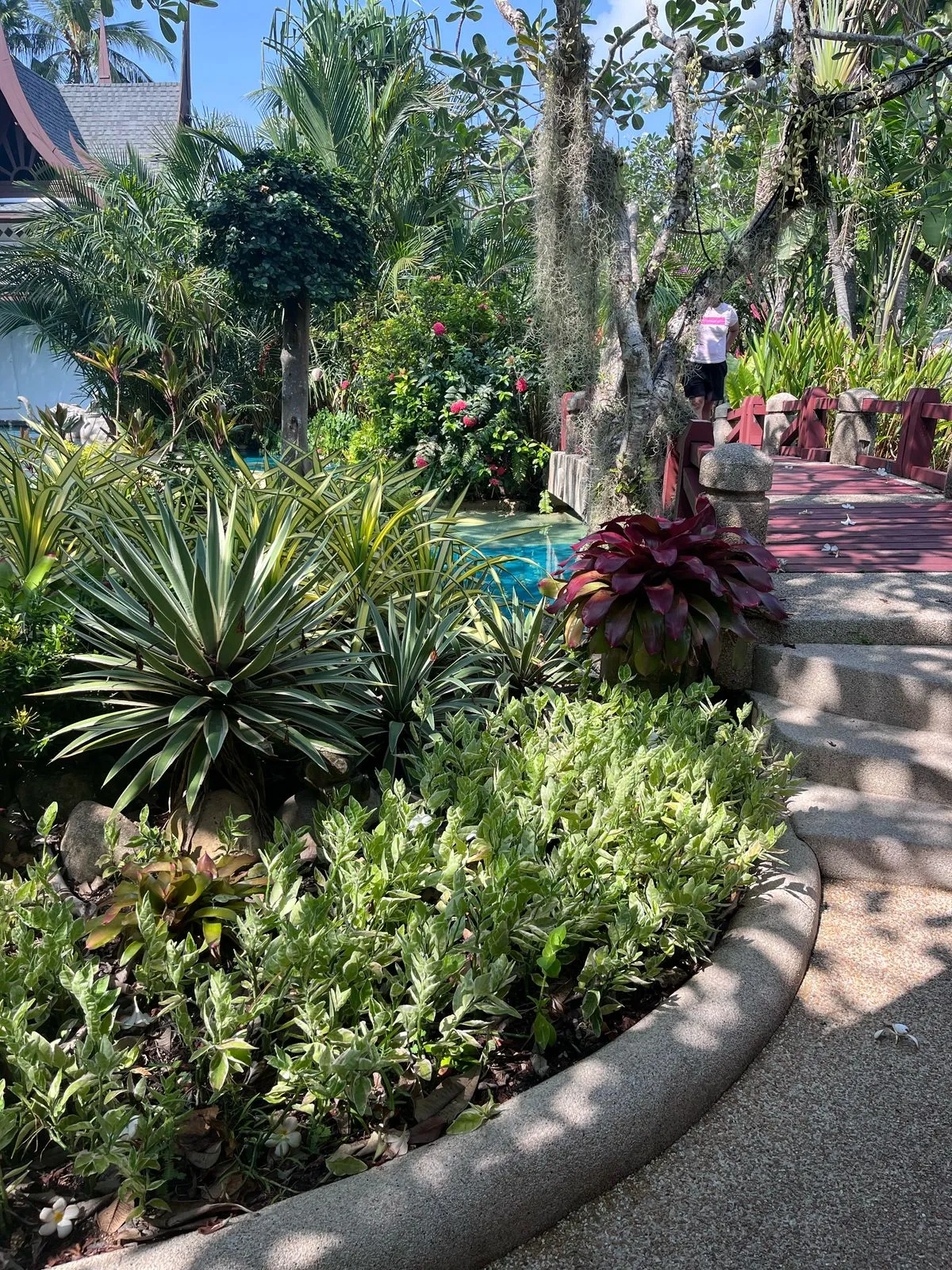 Exclusive Landscape Creation | Green Valley Plants