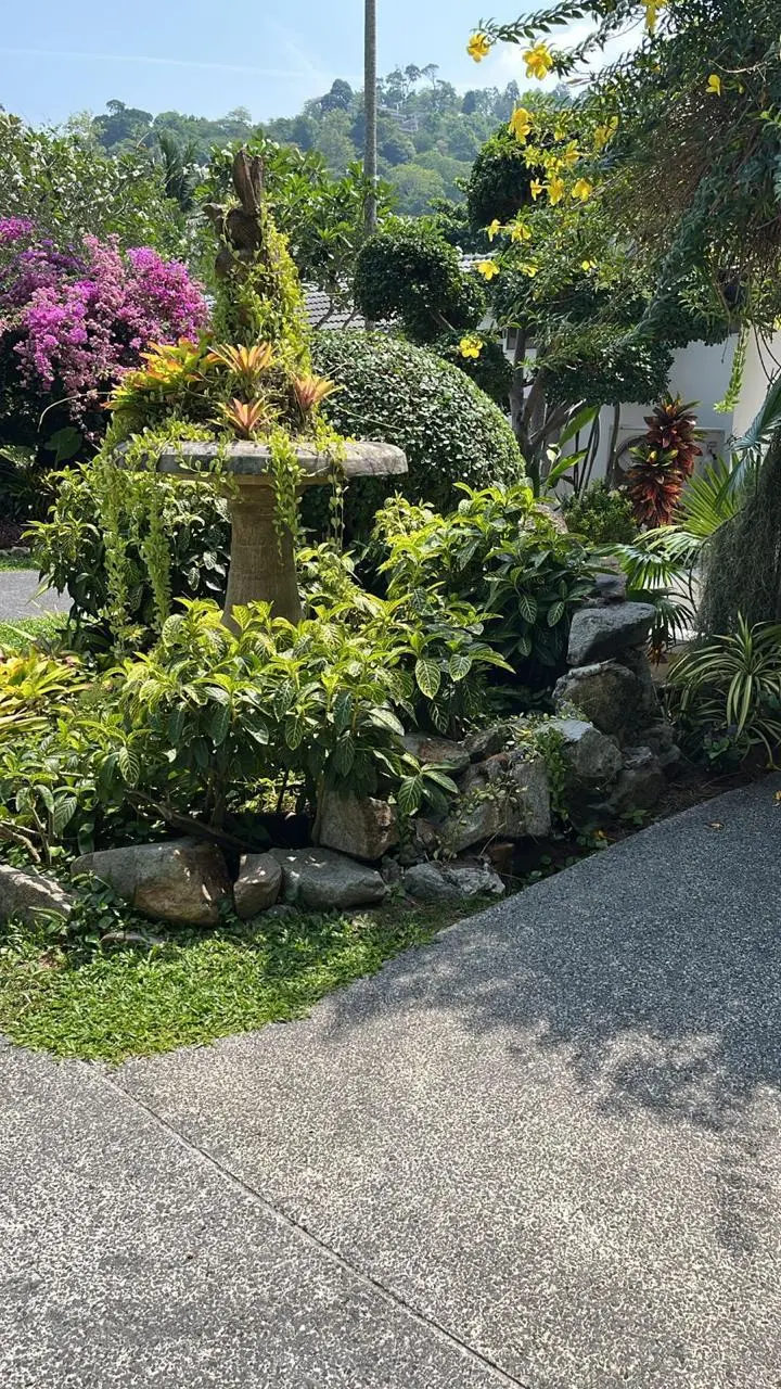 Exclusive Landscape Creation | Green Valley Plants