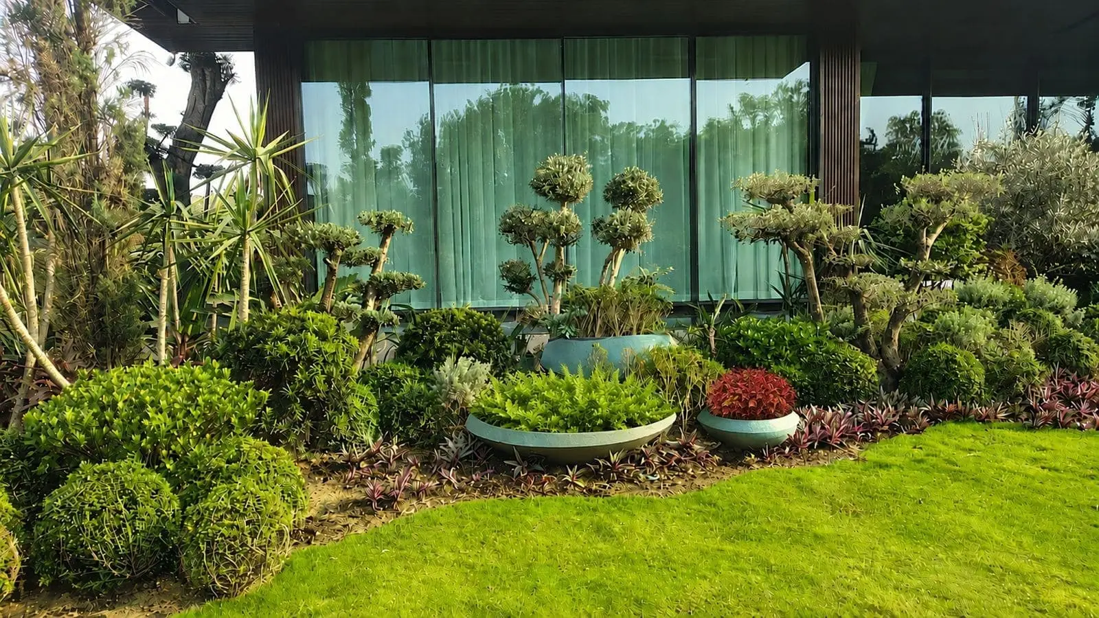 Exclusive Landscape Creation | Green Valley Plants